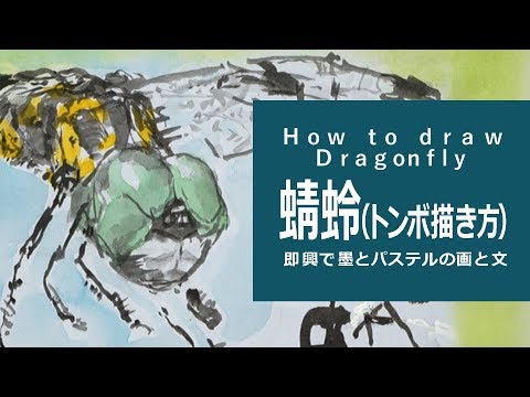 即興 筆文字と墨絵のイラスト 絵手紙風 描き方 絵の上達 トンボhow To Dragonfly Youtube