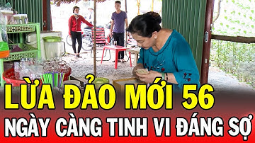 Chuyện Cảnh Giác 2025 | LỪA ĐẢO MỚI 56 | Phút Giây Cảnh Giác 2025 | Chuyện Cảnh Giác 2025 THVL