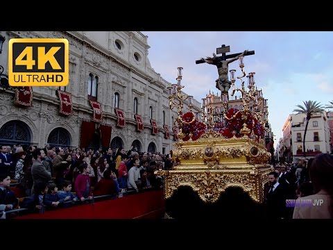 Real, Ilustre y Fervorosa Hermandad Sacramental de la Pura y Limpia Concepción de la Santísima Virgen María, Ánimas Benditas del Purgatorio y Cofradía de Nazarenos del Santísimo Cristo de la Salud, María Santísima del Refugio, Santa Cruz, Nuestra Señora del Patrocinio, Santa Bárbara y San Bernardo