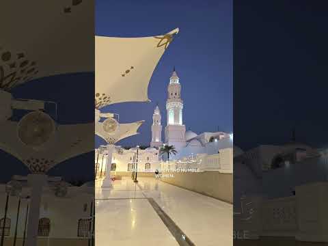 ﴿ إِنَّ الْمُسْلِمِينَ وَالْمُسْلِمَاتِ وَالْمُؤْمِنِينَ وَالْمُؤْمِنَاتِ... ﴾ 🤍 #سورة_الأحزاب