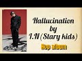 Stary Kids 스트레이 키즈 I N Hallucination Easy Lyrics Hop Album 
