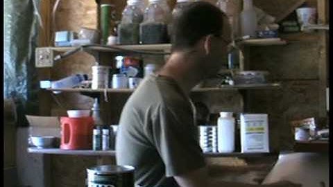 make miniature trees -part 4 more conifers