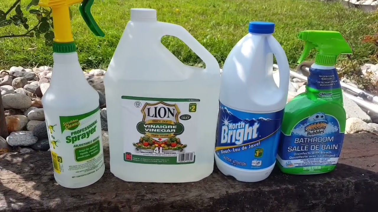Is it possible to remove mildew from a boat with store-bought products?