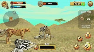 Wild Cheetah Sim 3D Android Gameplay #6 screenshot 2