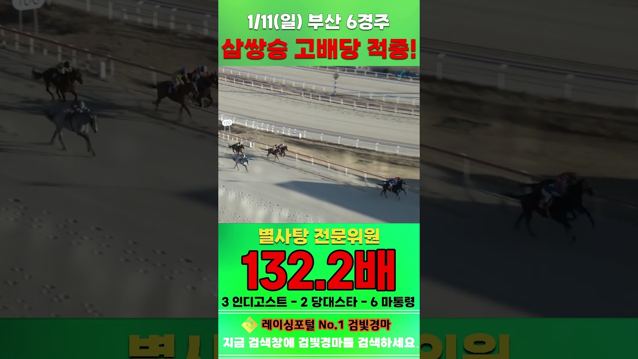 [부산 경마] 1월 11일 일요 6경주 별사탕 전문위원 삼쌍승 고배당 적중 #하이라이트 #horse #한국마사회 #automobile #경마 #게임