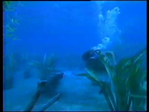 underwater fight male scuba vs female freediver. In clasic MOVIE. EL DIABLO AZUL.