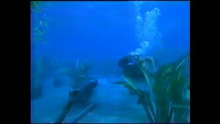 underwater fight male scuba vs female freediver. In clasic MOVIE. EL DIABLO AZUL.