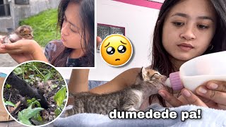 I Found A Kitten…AGAIN! | BABY PA SYA! | Sai Datinguinoo