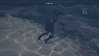 Dog glitch