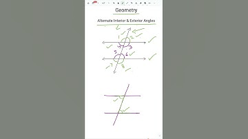 Alternate Interior & Exterior Angles #Lines&Angles #parallellines #geometrymaths #alternate&exterior