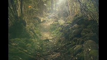 تلاوات مختارة للقارئ المبدع أسامة صالح