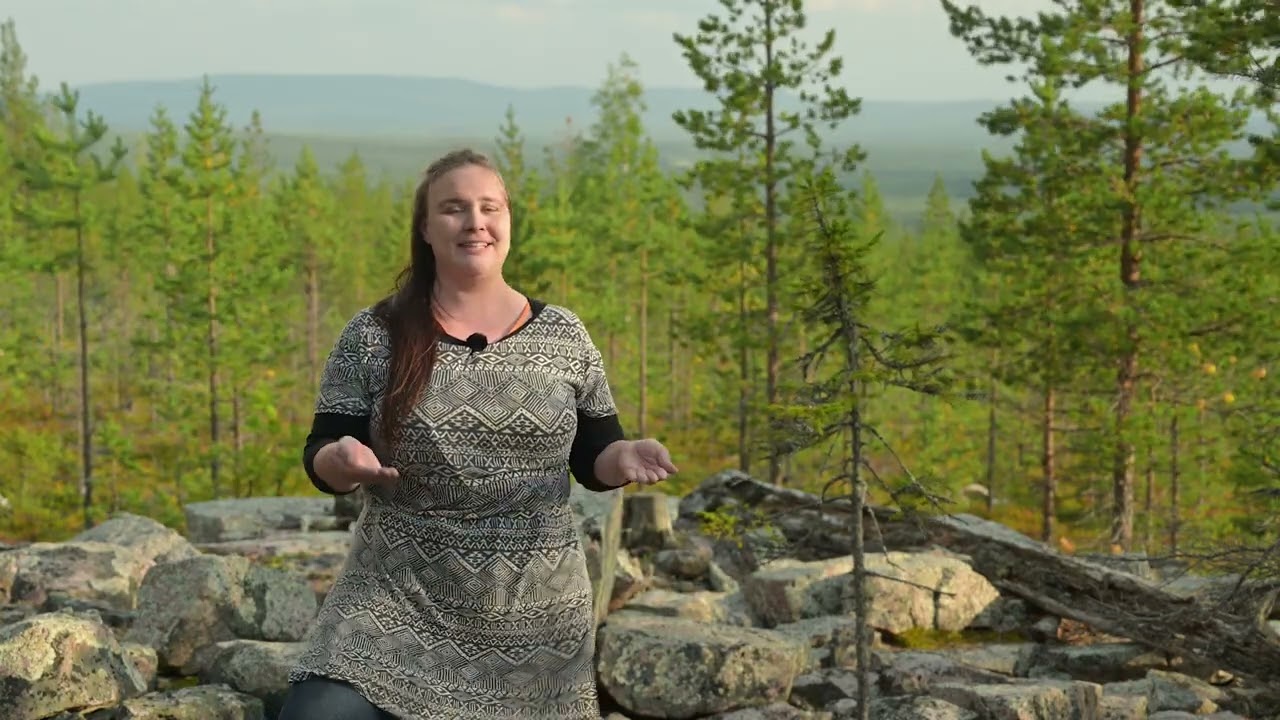 Nature of art (Taiteen luonto; in Finnish)