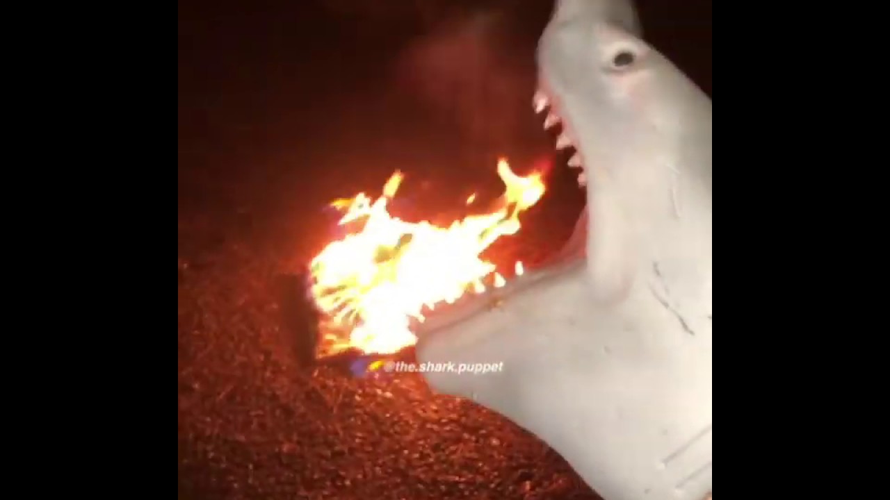 camera iphone 8 plus apk Shark Puppet ends Fortnite