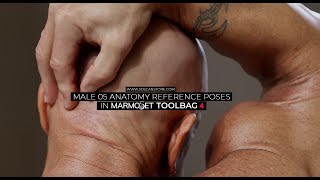 Male 05 Anatomy Reference Pack (Rendered in Marmoset Toolbag 4)