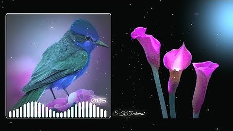 How to create trending Whatsapp Status Video | Avee player tutorial | Kaise use kare in Hindi | Sk