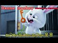 Dance monkey sri lanka version - snowball song | නටපන් නටපන් නටපන් ඕ ඕ
