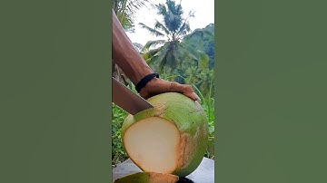 peeling green coconut with knife #asmr #satisfying #skills