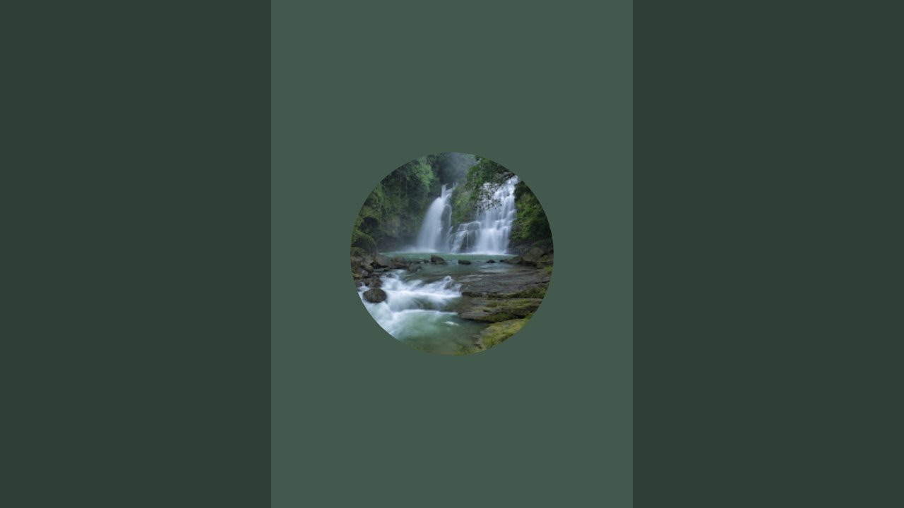 RASPUNS LA INTREBARILE VOASTRE !