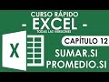 Curso Excel - Capitulo 12, Funciones Sumar.Si y Promedio.Si (Condicionales)