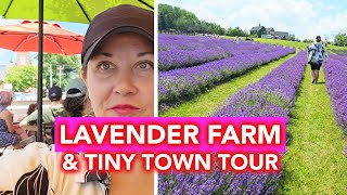 Lavender Farm Small Town Charm Creemore Lavender Farm Purple Hill Lavender Farm Day Trip