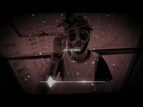 VNAS - SARY