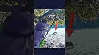 Perfect @Aim #Wild Boar Down# #Sharp Arrow Strike # the Boar