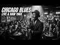 Gary Moore, Walter Trout, Eric Gales — Modern Blues Rock Guitar Inspired by Iconic Legends