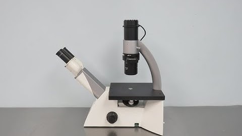 Leica DMi1 Inverted Microscope Video ID 21857
