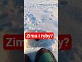 Zima, mróz, ryby i ja