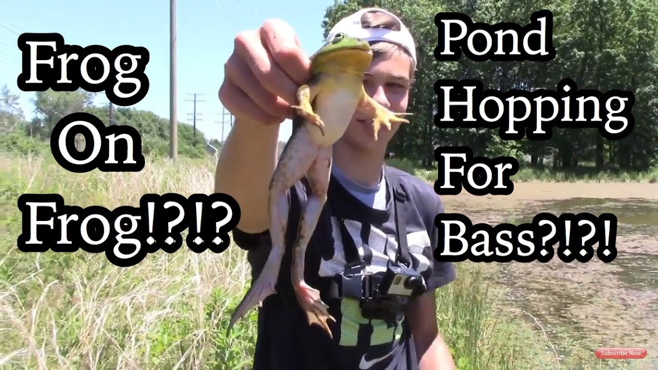 Pond Hopping For BIG BASS AND FROGS?!?!