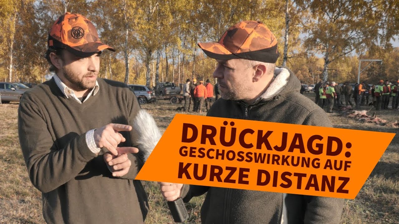 drückjagd baden württemberg 2018 Drückjagd 2018: Was gilt es bei kurzen Schussentfernungen zu beachten?