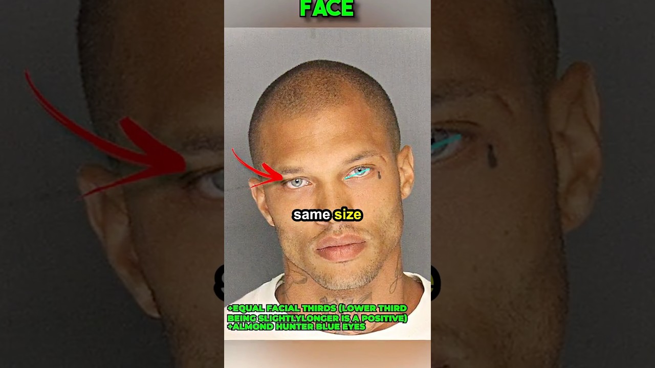 3 signs you&rsquo;re attractive 🤝