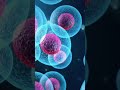 A team of researchers from USC has developed a groundbreaking AI algorithm called RED