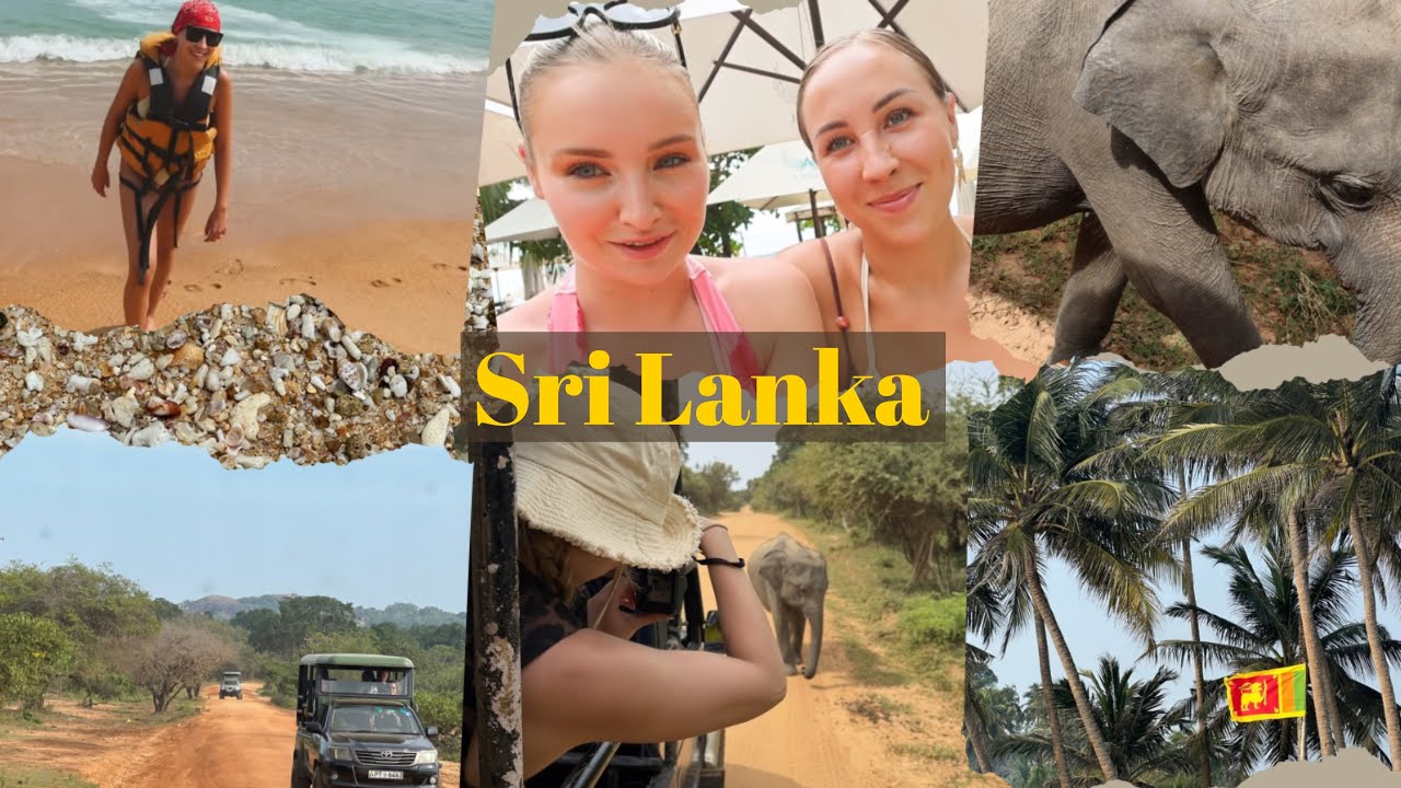 REISIVLOG | Sri Lanka puhkus Aleksandriaga 🌴✈️🐘