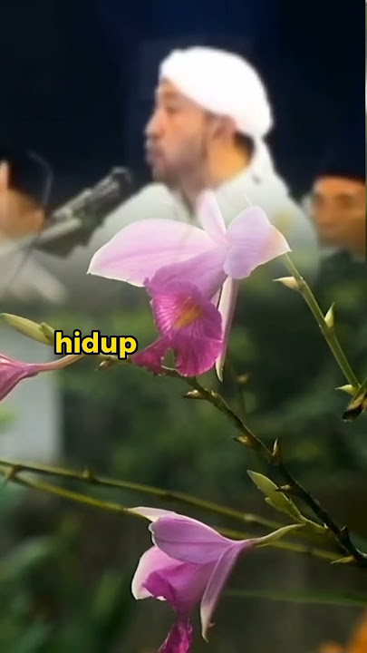 DOA IBU LEBIH MANJUR DARI DOA WALI KUTUB, habib Bidin Assegaf, religi islam, ceramah singkat#shorts