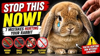 7 Mistakes That Are Slowly Killing Your Rabbit (Most Owners Don’t Know)