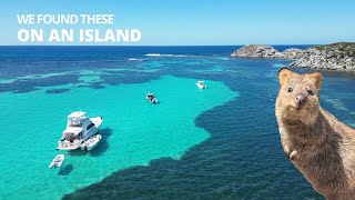 ROTTNEST ISLAND VLOG: Ultimate Day Trip Guide. Perth, Western Australia Travel