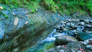 Calming mountain stream sound, peaceful no birds sound forest,best for relax,studying,work,meditasi