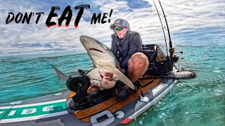 SHARK on Inflatable Boat!