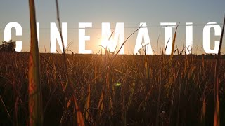 CINEMATIC Sunset || Byker Avi