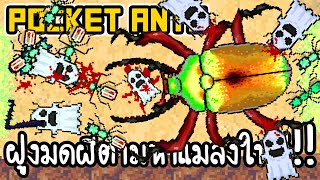 Pocket Ants #21 - ฝูงมดผีตามหาแมลงใหม่!! [ เกมส์มือถือ ] screenshot 4