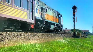 Waiting for TRAIN locomotive running - KAI cc206 (TRAIN RECORDING VIDEO)