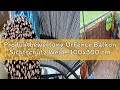 Produktbewertung UrFence Balkon Sichtschutz Weide 100x300 cm - Gartenzaun Weidenzaun - Balkonverklei