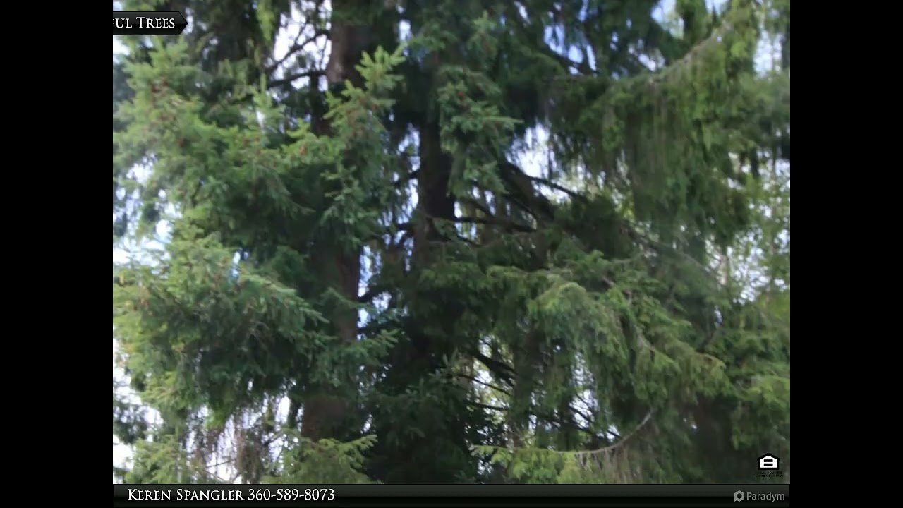 Premier Realty Grays Harbor - Nice Affordable Lot!