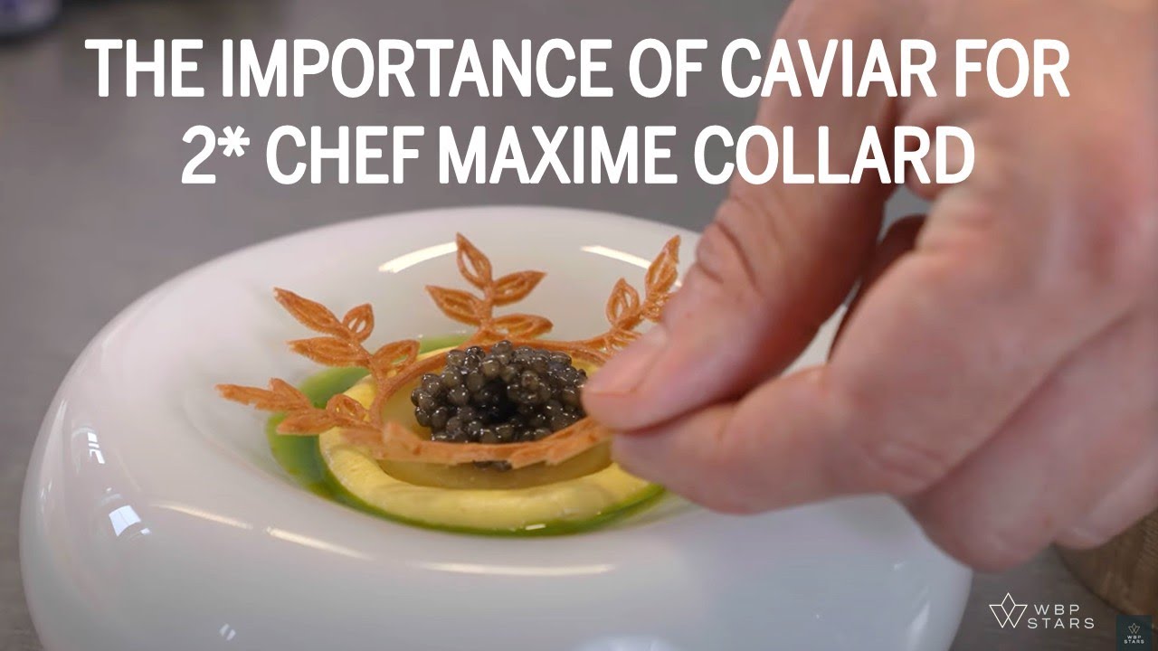 2 star Chef Maxime Collard speaks about "THE IMPORTANCE OF CAVIAR" (exclusive interview!)
