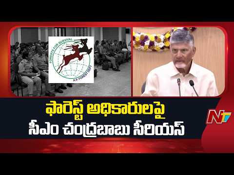 CM Chandrababu Serious On Forest Officials In Collectors Meeting | NTV Telugu - NTVTELUGU