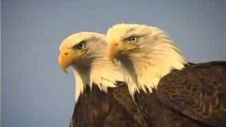 The Eagles of Homer-A Story inspired by Jean Keene-