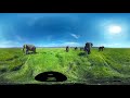 Shoryu Itazu 板津昇龍 10の小さなピアノ曲集 - Magic Hands 8 - Surrounded by Wild Elephants
