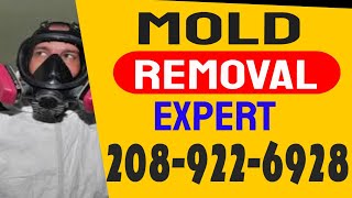 Crawl Space Mold Removal Emmett Id Emmett Idaho -  Crawl Space Mold Remediation Emmett Id