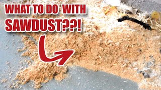 10 Tips Of What You Can Do With Sawdust